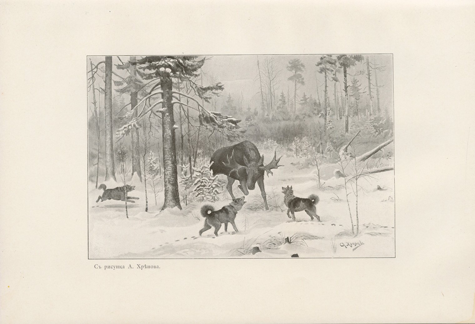 Нарышкин. Охота на лосей (1900) — редкое охотничье издание с иллюстрациями