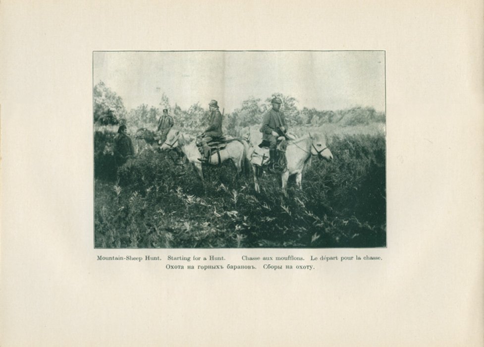 Камчатка. Мое путешествие и охота на медведей и горных баранов (1918)