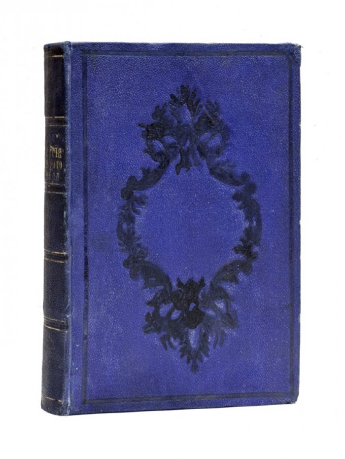 История новейшего времени. От Венского конгресса до Парижского мира (1815–1856)