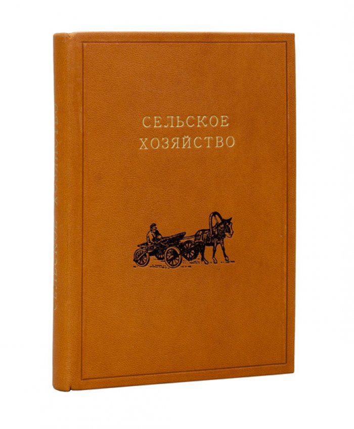 Сельское и молочное хозяйство: практическое руководство (земледелие, домашние животные, молочное хозяйство)