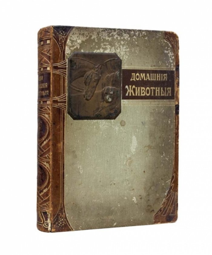 Наши домашние животные: лошади, коровы, собаки, птицы и другие (подарочное иллюстрированное издание)