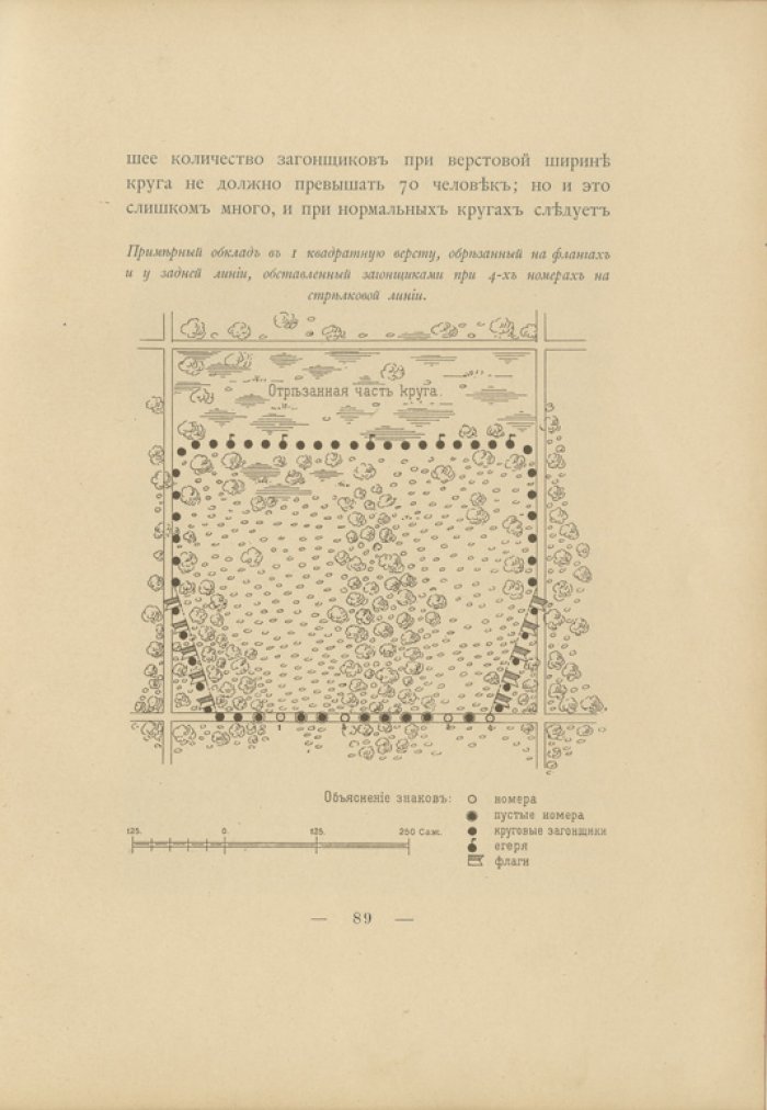 Охота на лося (1900) — жизнь зверя и практические способы добычи