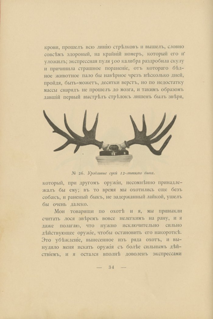Охота на лося (1900) — жизнь зверя и практические способы добычи