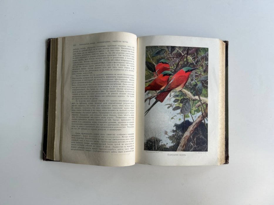 Жизнь животных. Том 8. Птицы III: кукушкообразные, попугаи, ракшеобразные (4-е издание)