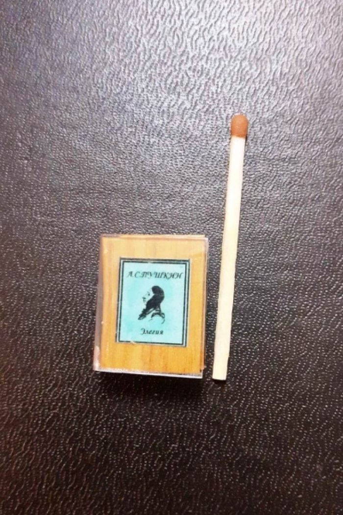 Книжная миниатюра: набор из 15 микрокнижек со стихами А. С. Пушкина (микроминиатюры Андрея Рыкованова)