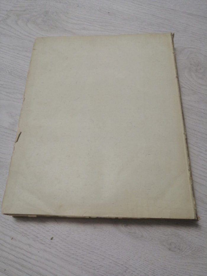 «Зодчий». Архитектурный художественно-технический журнал (1873, 1874, 1876, 1879, 1880)