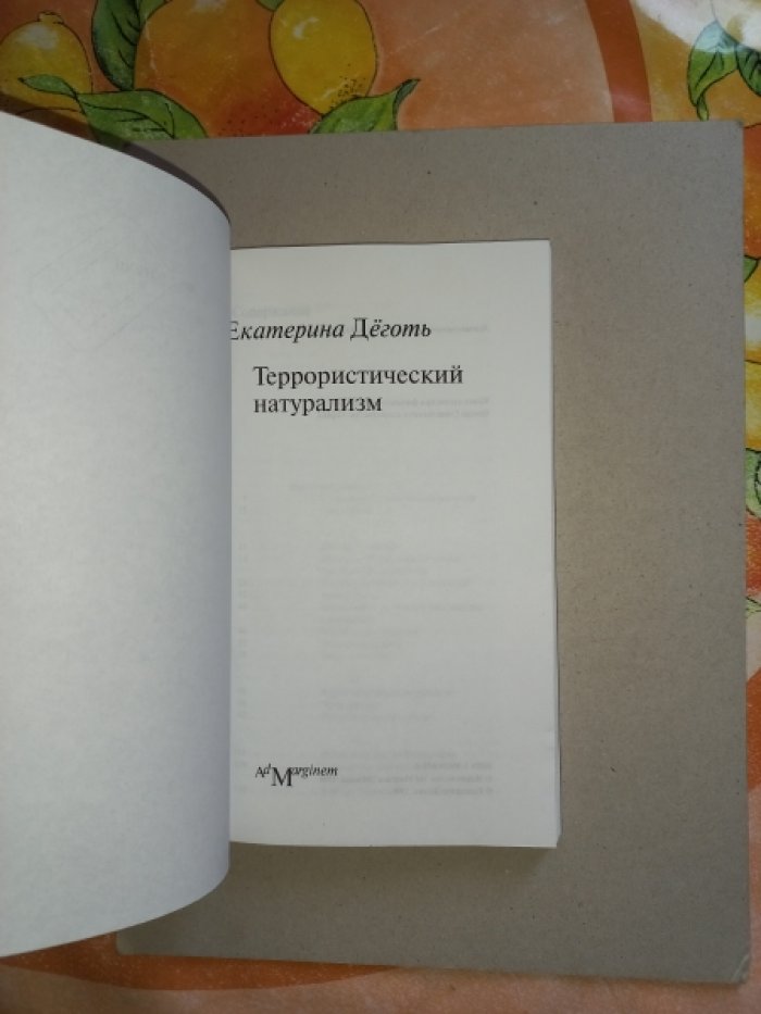 Екатерина Деготь — Террористический натурализм (серия «Коллекция passe-partout»)