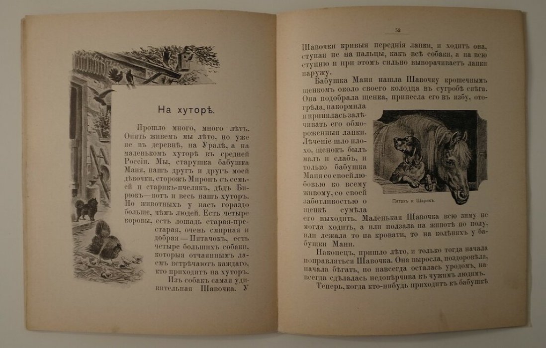 «Наши зверьки» — рассказы для младшего возраста с 36 иллюстрациями и 6 цветными хромолитографиями