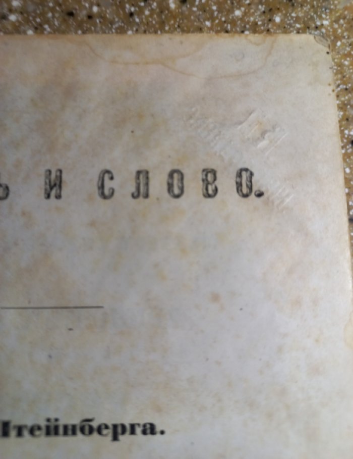 Мозг и слово. Психиатрические и психологические основания речи