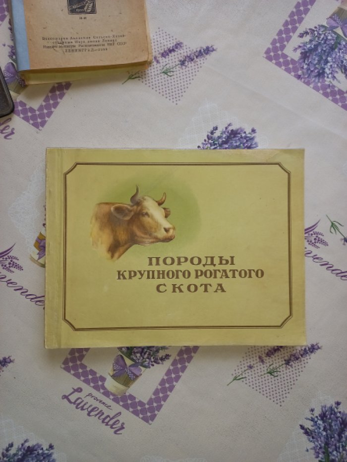 Породы крупного рогатого скота. Лучшие породы и чемпионы по материалам ВСХВ 1954 года