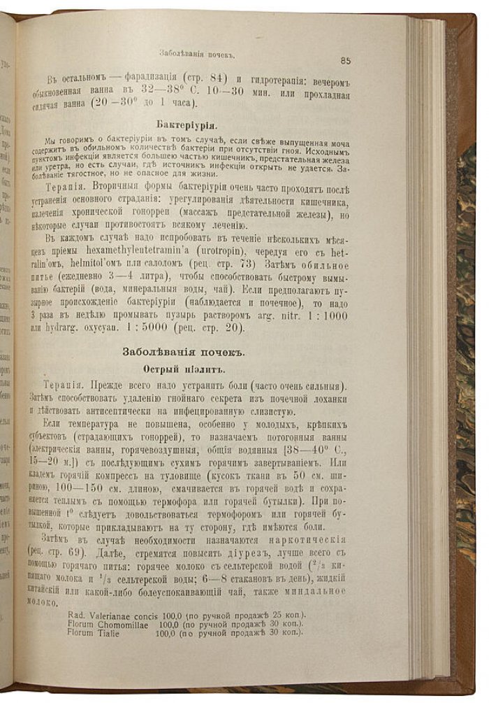 Краткое руководство по терапии мочеполовых болезней (Эрнст Портнер) + Об изменениях в сифилидах (Н. С. Эфрон). Антикварная книга 1912–1913