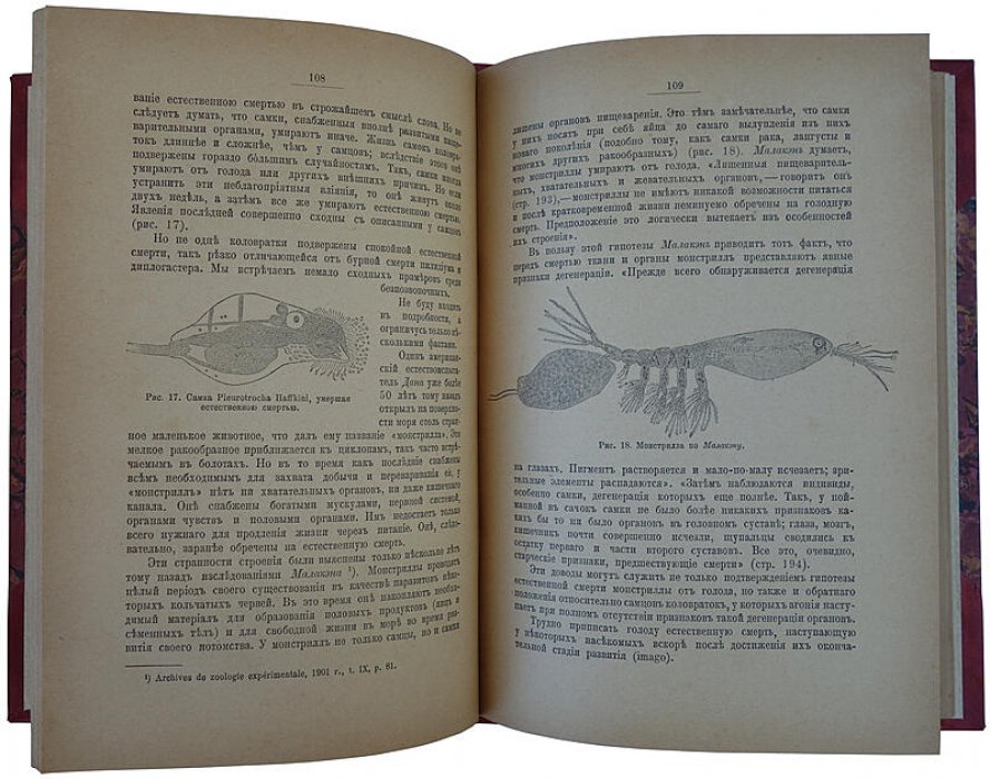 И. И. Мечников — «Этюды оптимизма» (1913). Антикварная книга, Москва, «Научное слово»