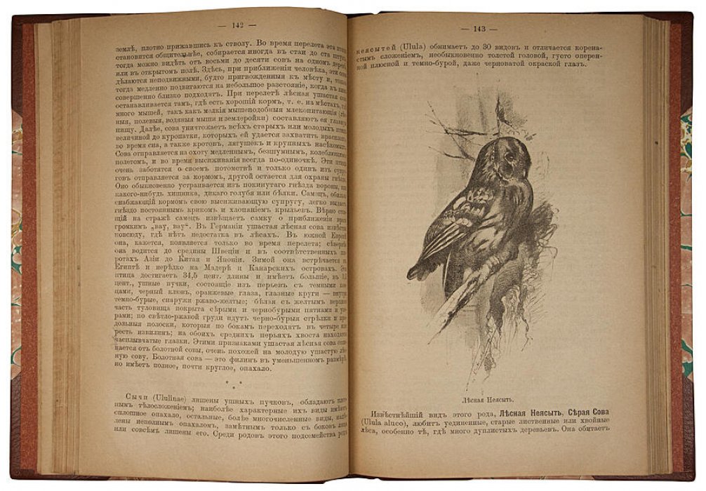 Звери, птицы и насекомые Средней Европы: их жизнь и нравы (антикварное издание, 1901)