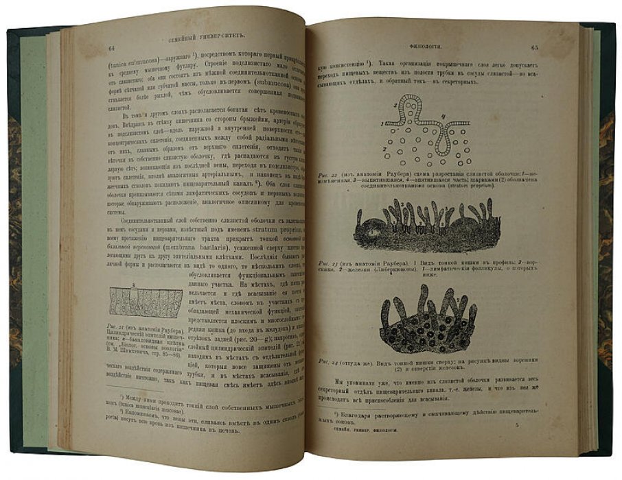 Гандин С.Б. Популярные лекции по физиологии (антикварное издание, 1903 г.)