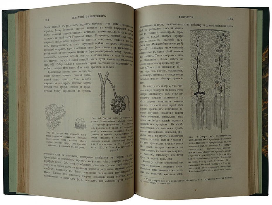 Гандин С.Б. Популярные лекции по физиологии (антикварное издание, 1903 г.)