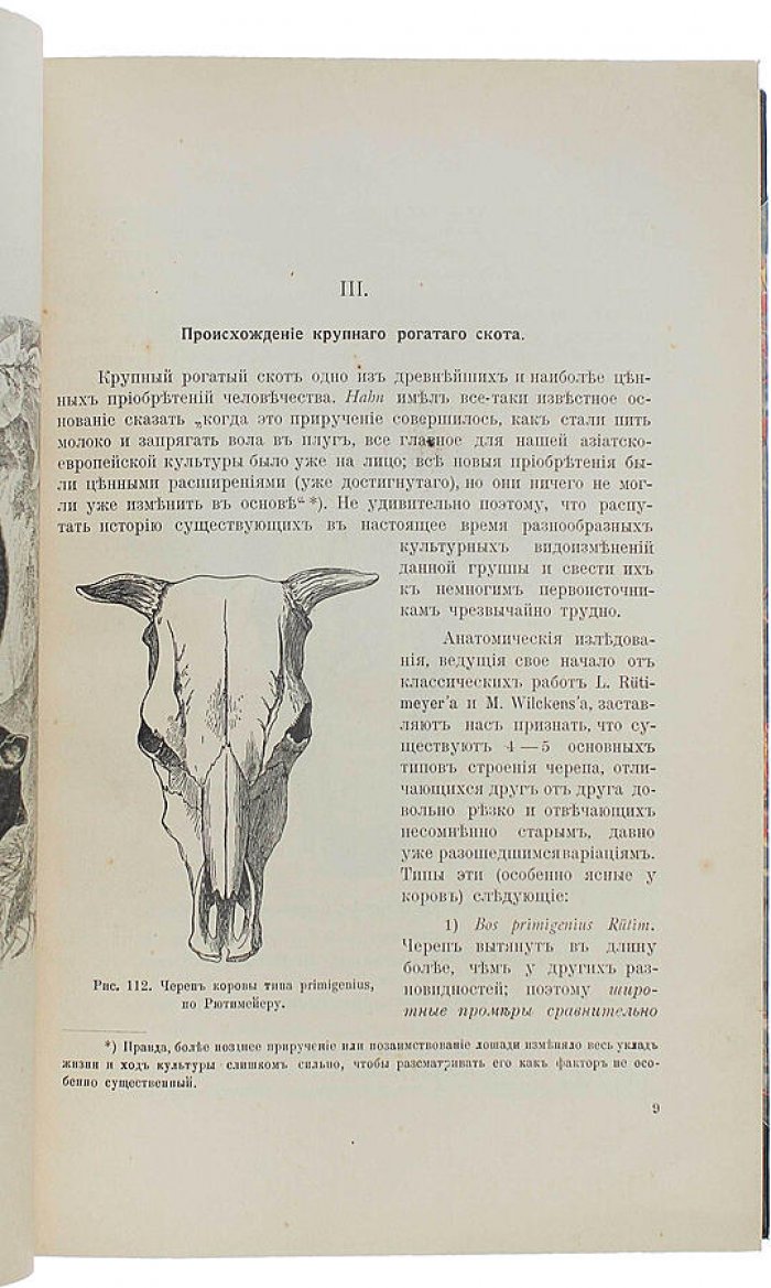 Конволют Е.А. Богданов: «Происхождение домашних животных» (1913) и «Менделизм или теория скрещивания» (1914)