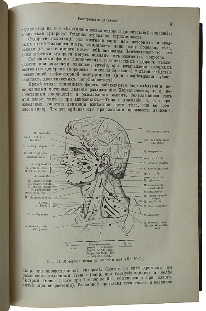 Швальбе Ю. «Основы практической медицины» (1909) — антикварное издание Санкт-Петербурга