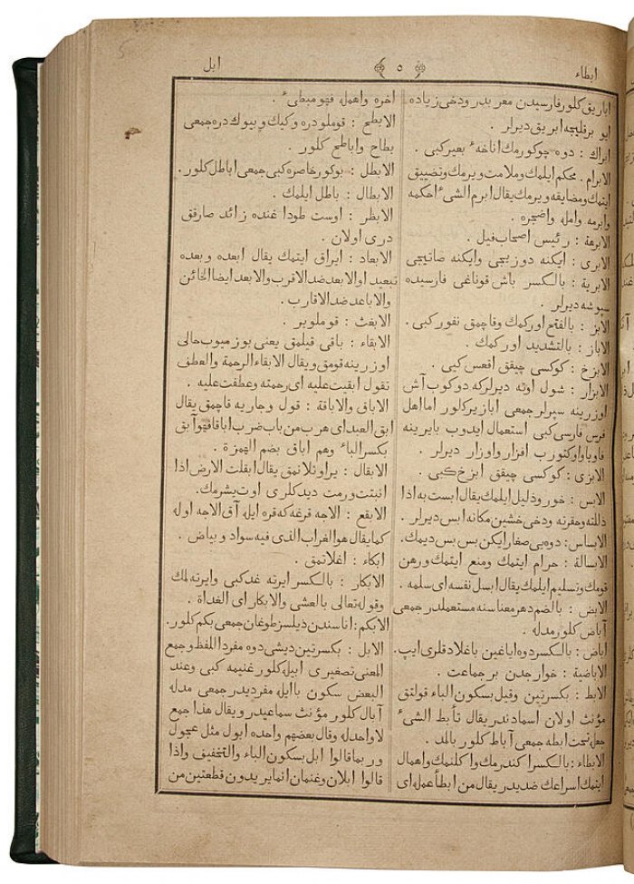 Ахтари Кабир: арабско-турецкий словарь (антикварное издание, Казань, 1902)