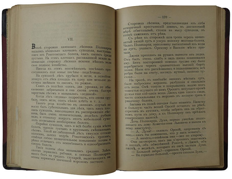 «Охота и охотники» — антикварная книга 1908 года (Фокин Н.Н., Санкт-Петербург, типография В.Я. Мильштейна)