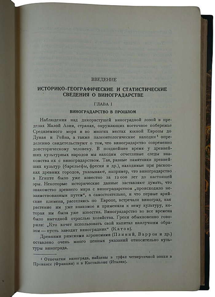 Виноградарство: практическое руководство и справочник по культуре винограда (антикварное издание 1927 года)