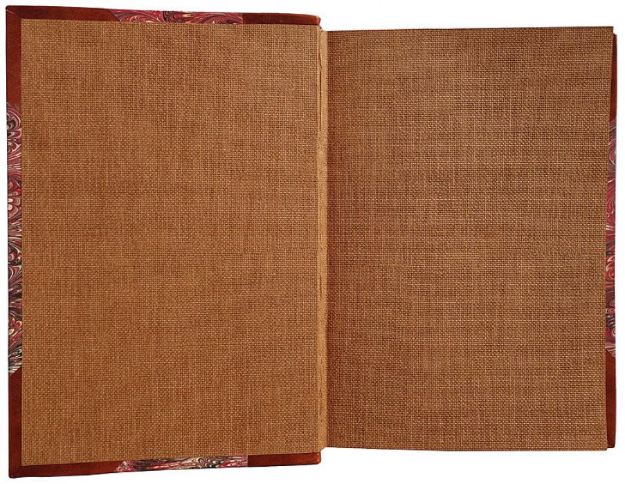 Александр I и Наполеон. Исторические очерки (1915). Дживелегов А.К.