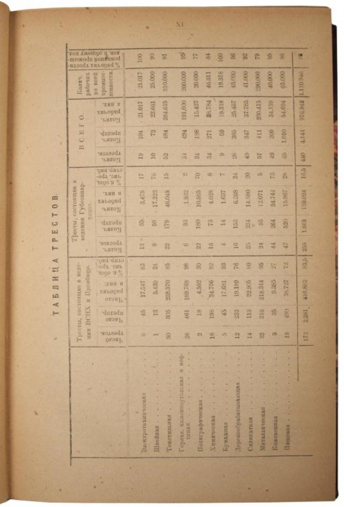 Русская промышленность в 1922 году. Материалы к X съезду Советов (издание 1923 г.)