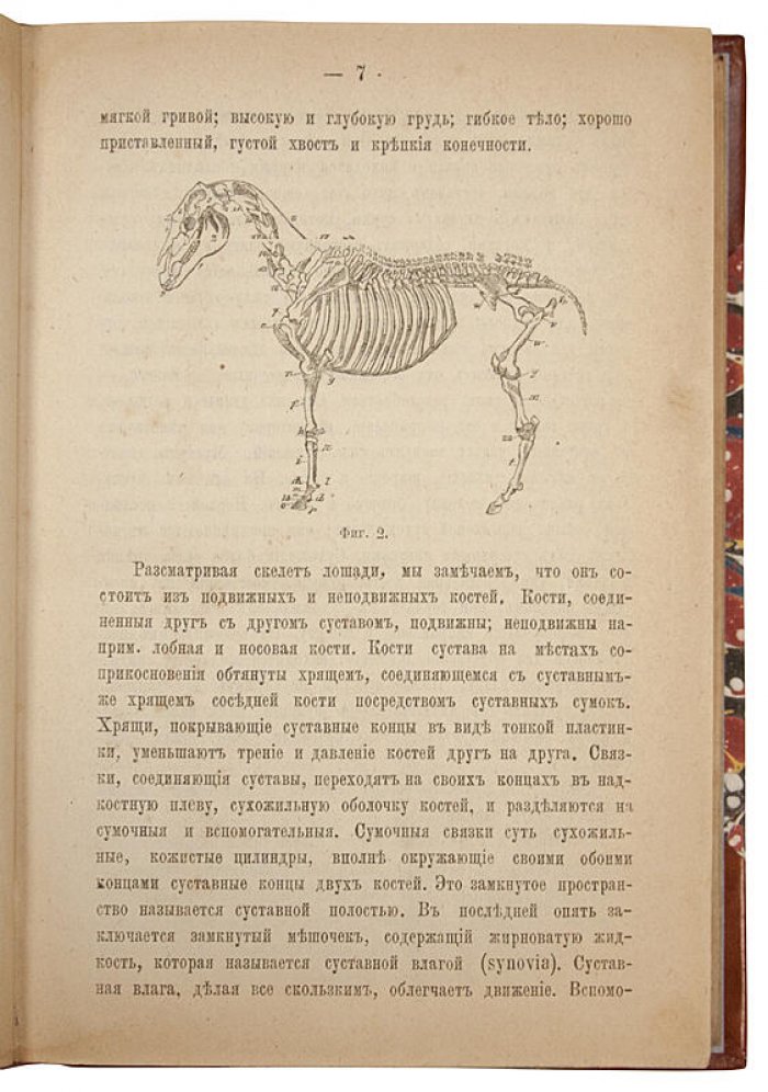 Иллюстрированный гомеопатический лечебник для домашних животных (антикварное издание, 1880)