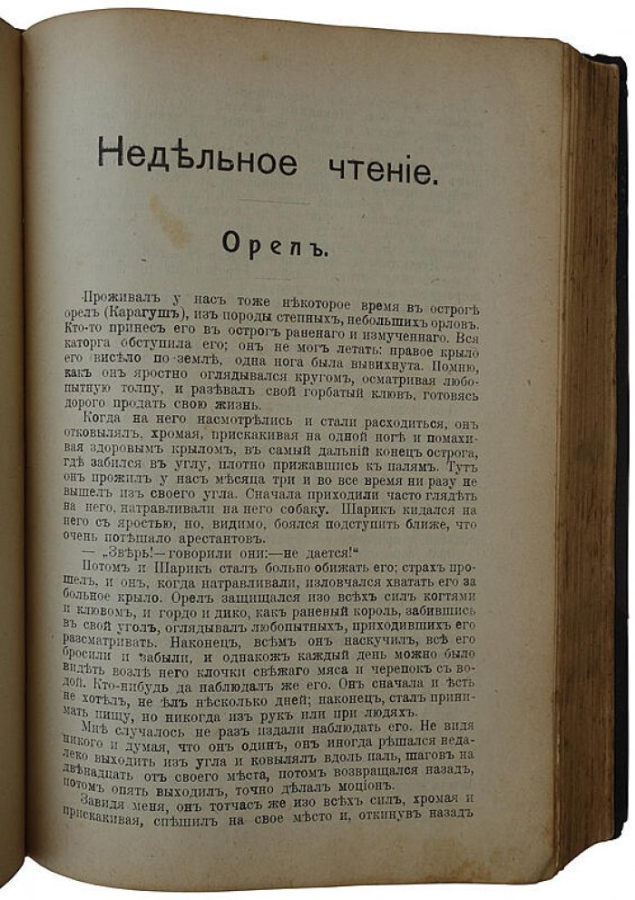 «Круг чтения» Льва Толстого: избранные мысли об истине, жизни и поведении (издание 1910 г.)