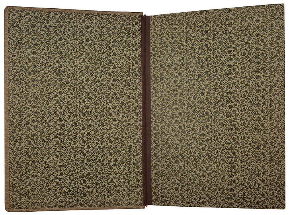 По медвежьим следам. Очерки (издание 1900 года)