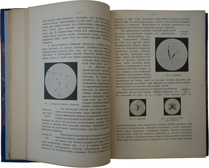 Рейн Ф.А. «Краткое руководство по общей хирургии» (антикварное издание, 1915)