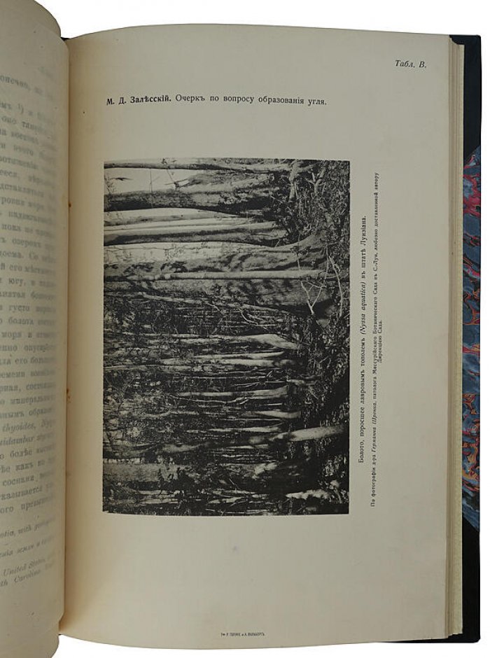 Очерк по вопросу образования угля (1914) — издание Геологического Комитета