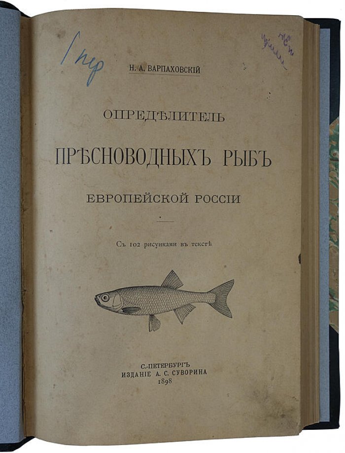 Определитель пресноводных рыб Европейской России (антикварное издание 1898 г.) — Н. А. Варпаховский