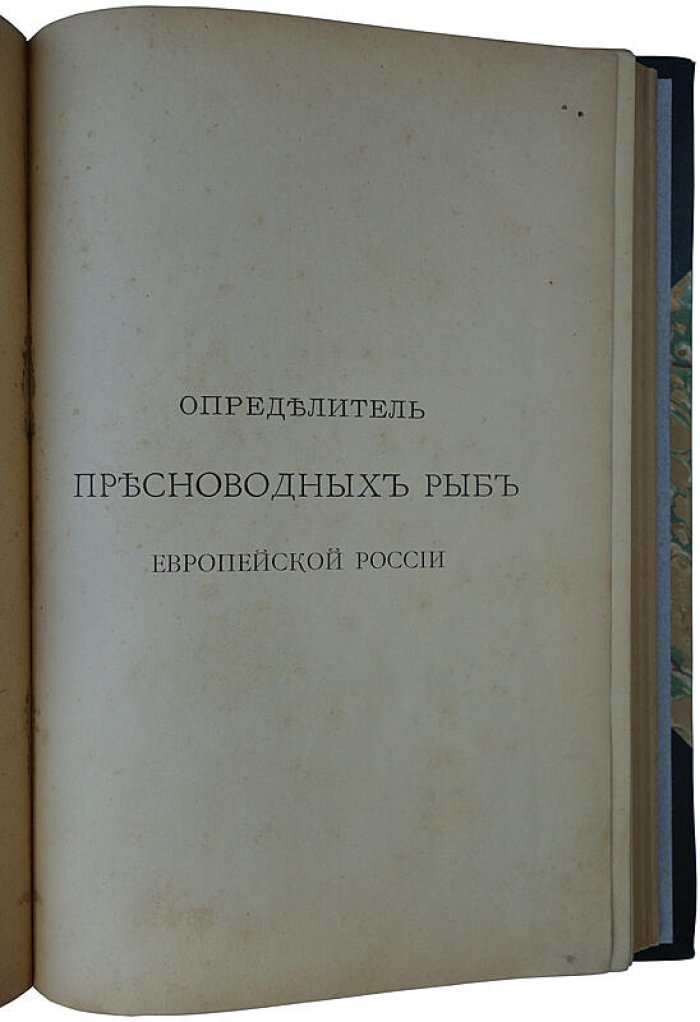 Определитель пресноводных рыб Европейской России (антикварное издание 1898 г.) — Н. А. Варпаховский