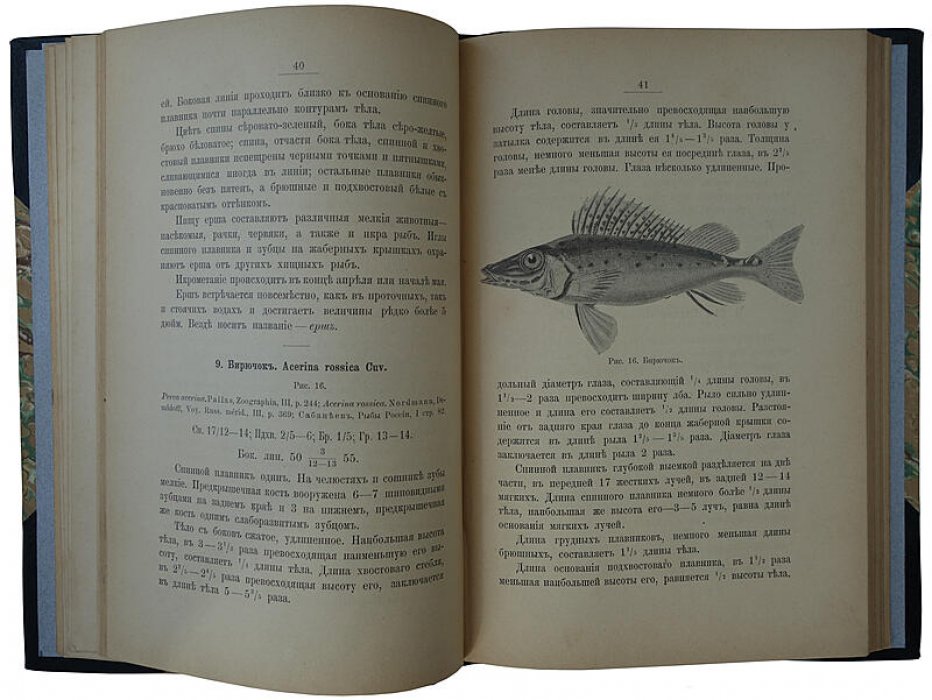 Определитель пресноводных рыб Европейской России (антикварное издание 1898 г.) — Н. А. Варпаховский
