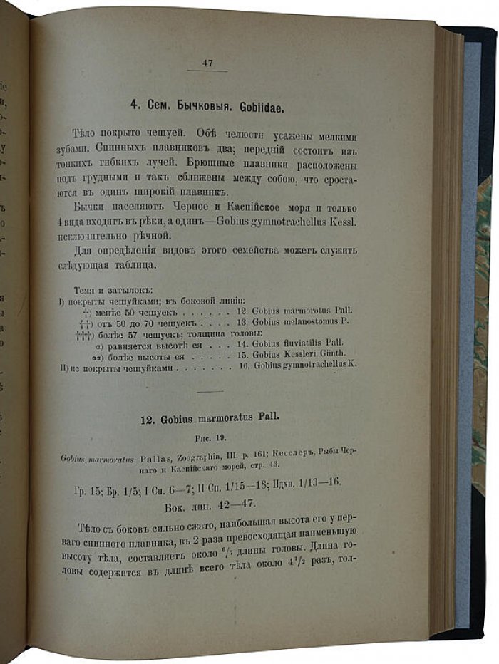 Определитель пресноводных рыб Европейской России (антикварное издание 1898 г.) — Н. А. Варпаховский