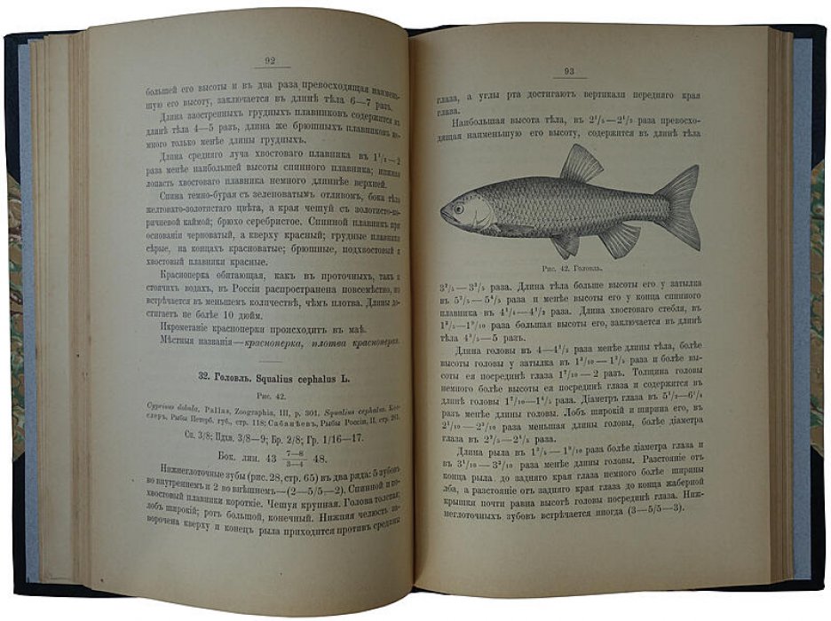 Определитель пресноводных рыб Европейской России (антикварное издание 1898 г.) — Н. А. Варпаховский