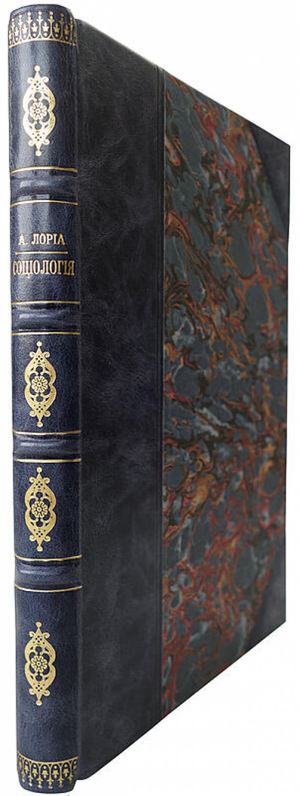 Социология: её задачи, направления и новейшие успехи (1903) — антикварное издание