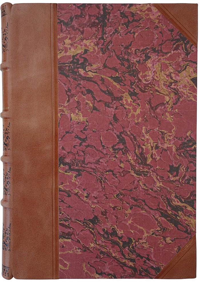 Два героя в новом свете: Завоевание Мексики (антикварное издание 1903 года)