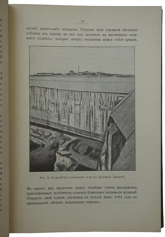 «Диковинки земли». Популярные очерки из жизни нашей планеты (издание 1913 года)