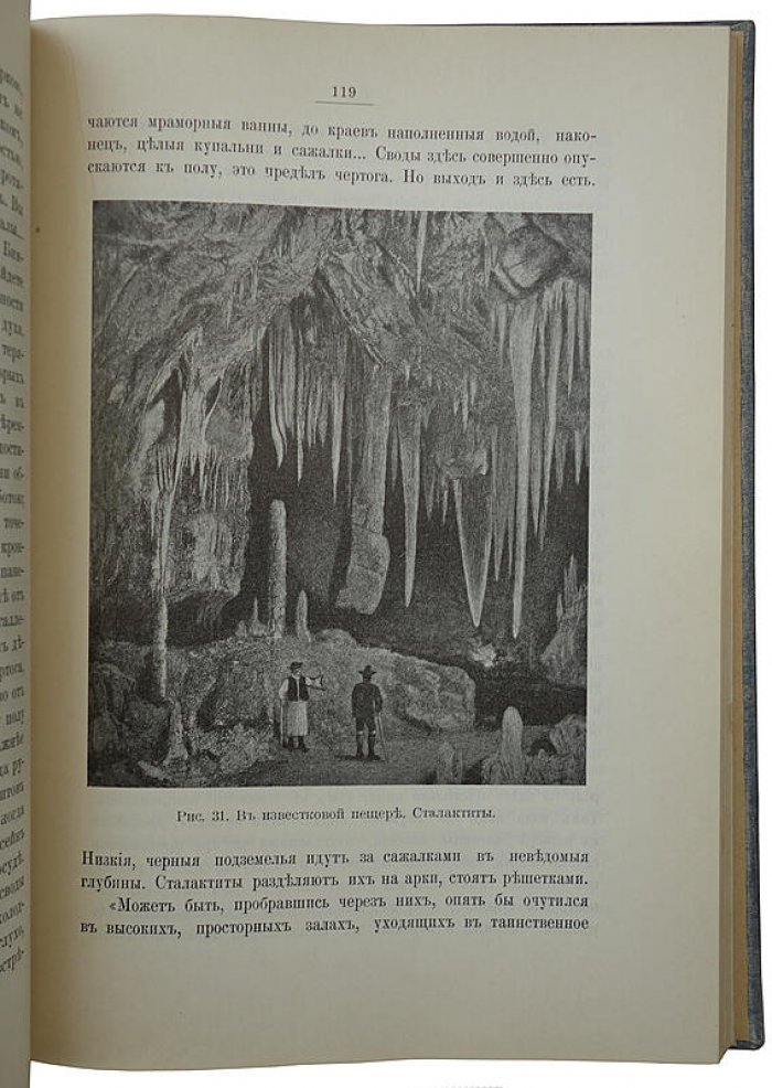 «Диковинки земли». Популярные очерки из жизни нашей планеты (издание 1913 года)
