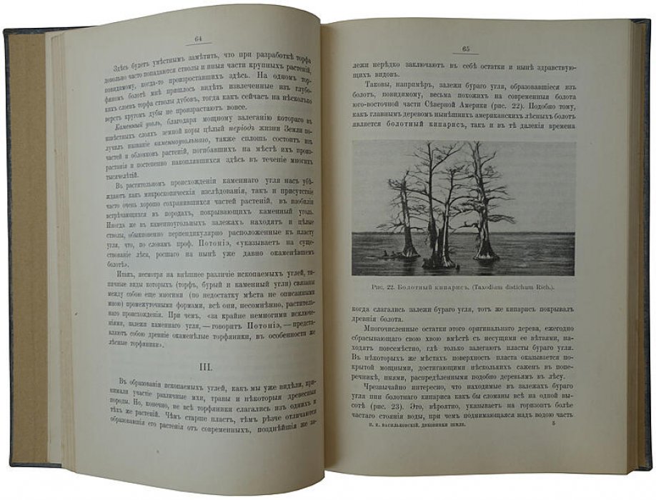 «Диковинки земли». Популярные очерки из жизни нашей планеты (издание 1913 года)
