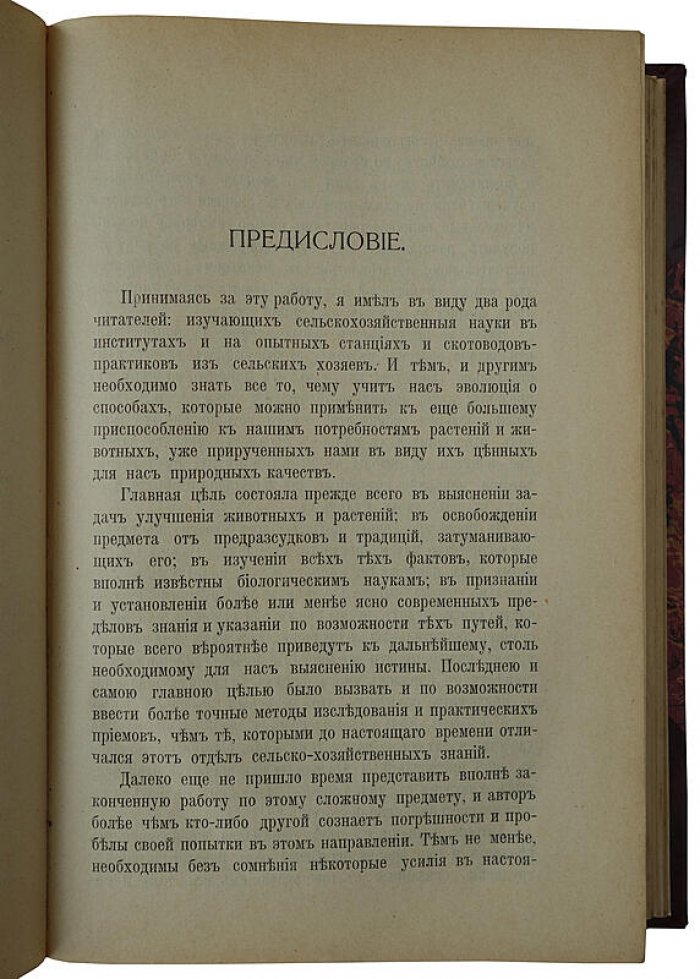 Основы племенного разведения: антикварное издание 1912 года (Санкт-Петербург, «Сельский Вестник»)