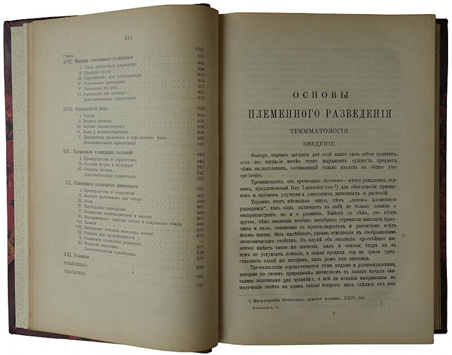Основы племенного разведения: антикварное издание 1912 года (Санкт-Петербург, «Сельский Вестник»)