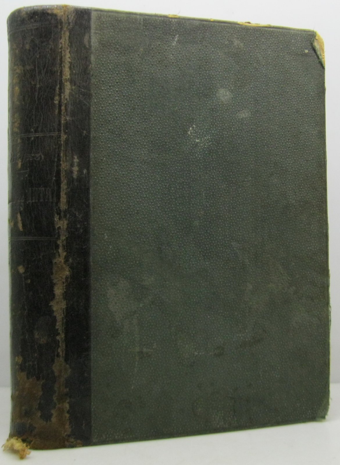 «Мать и дитя» — В. Н. Жук (издание 1897 года, 808 стр.)