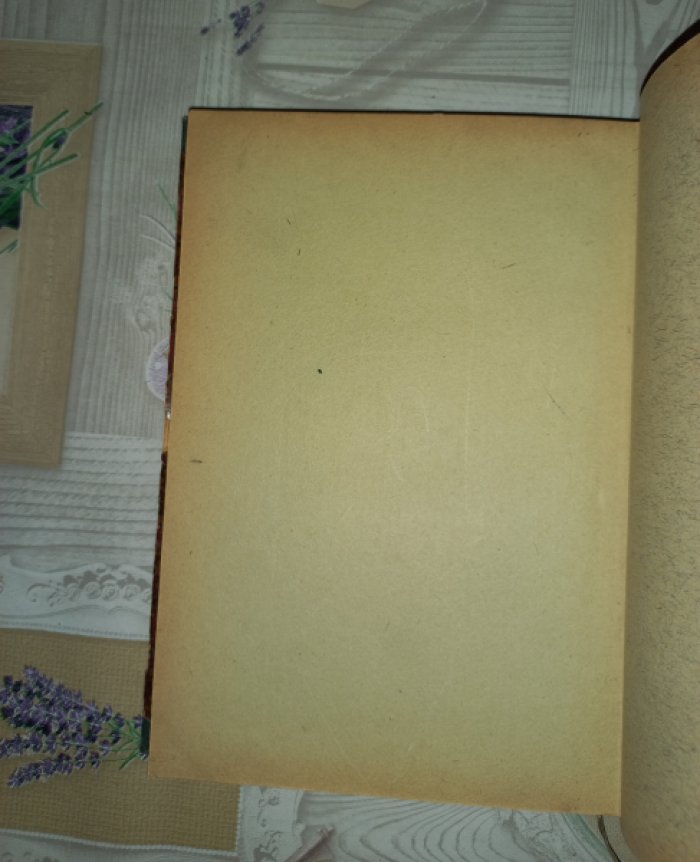 Исаак Ньютон: Замечания на Книгу пророка Даниила и Апокалипсис (Откровение) св. Иоанна. В двух частях (в одном переплете)