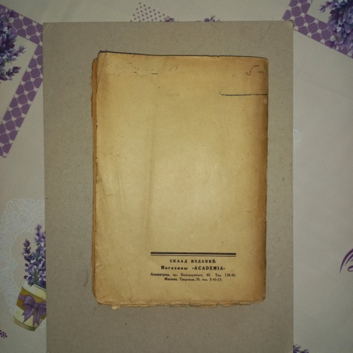 Русская поэзия XVIII века: вопросы поэтики (вып. X, Academia)