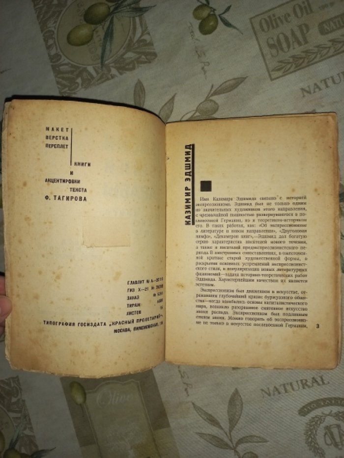Эдшмид Казимир. Баски, быки и арабы: книга об Испании и Марокко
