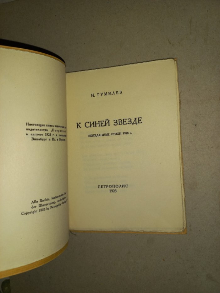 Николай Гумилёв. К синей звезде. Неизданные стихи (1918) — редкий посмертный сборник